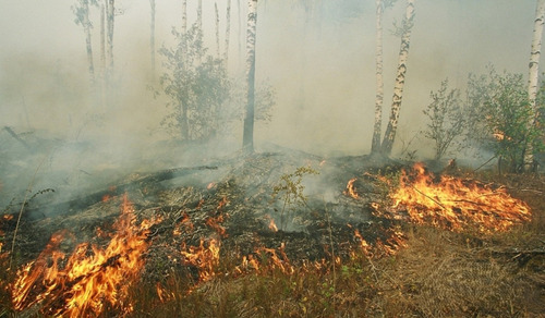 ХӨВСГӨЛ, ДОРНОДОД 1120 ГА ТАЛБАЙ ШАТЖЭЭ